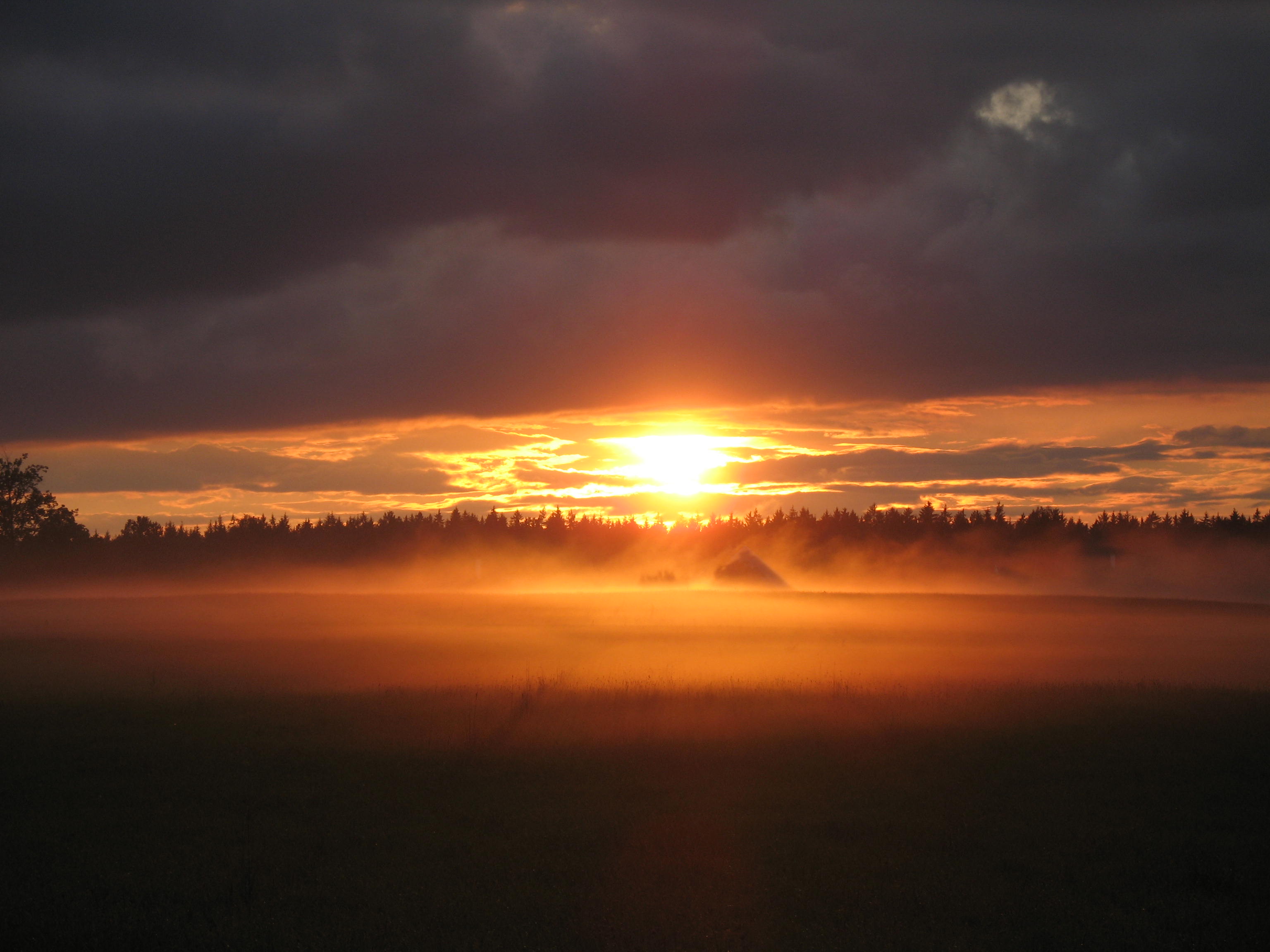 LDT Petříkov 2007 103