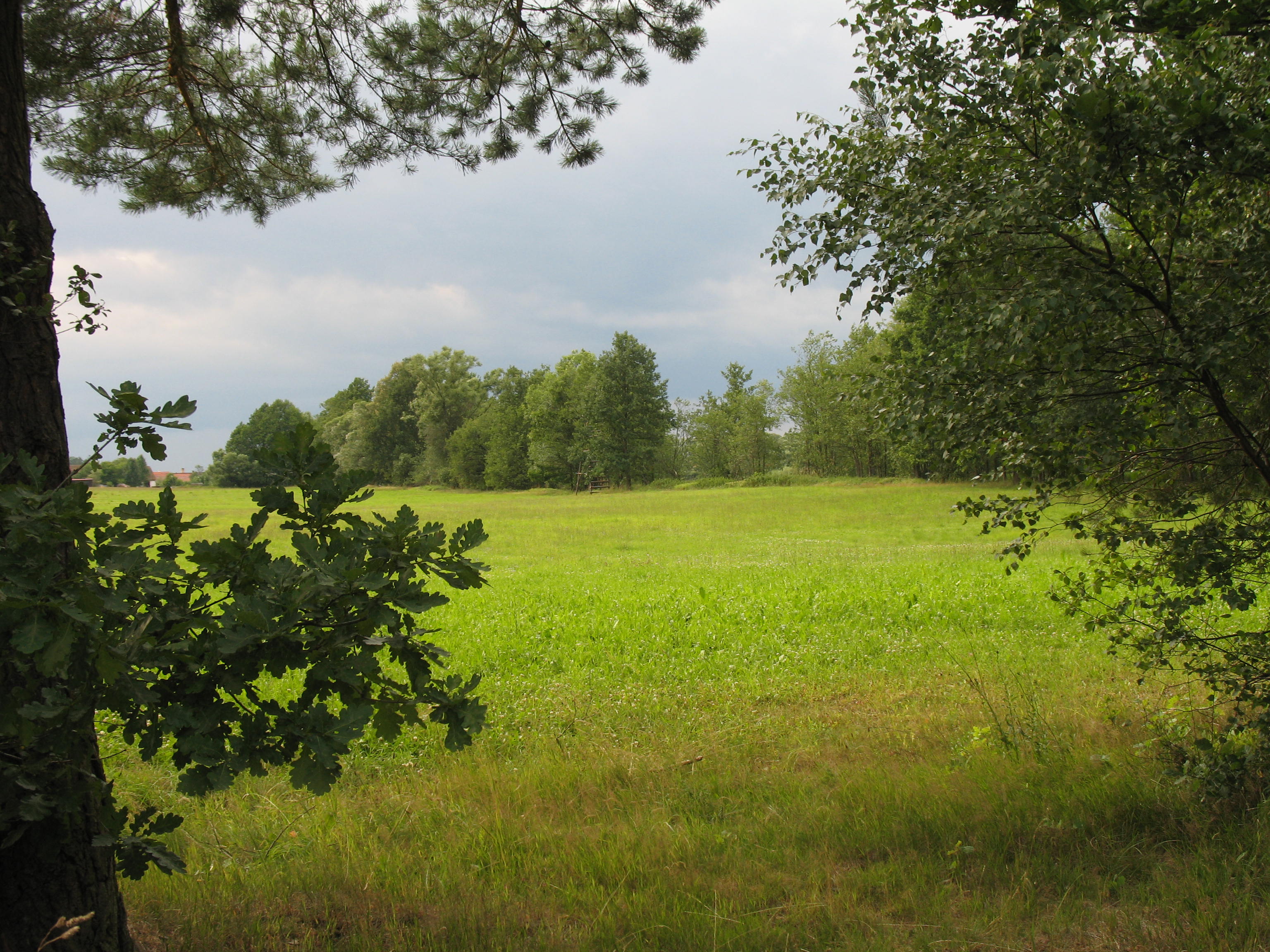 LDT Petříkov 2007 147